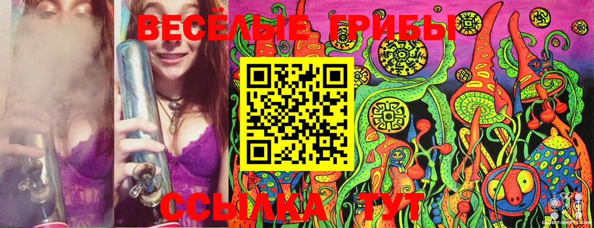 Ишимбай  Псилоцибиновые грибы Psilocybe  Вход с VPN 