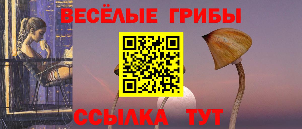Галлюциногенные грибы мицелий Ишимбай